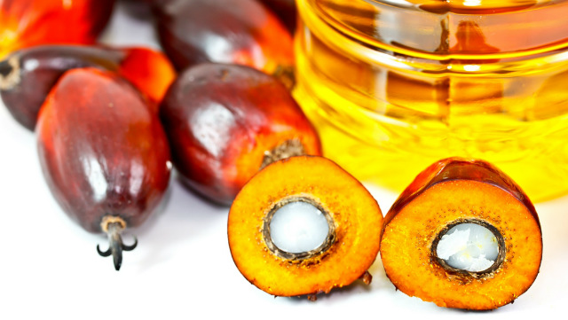 Production-Consommation : l'huile de palme face au recul